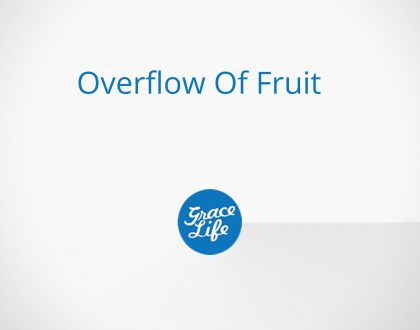 Overflow Of Fruit